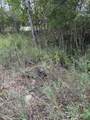  Coocpa- Lake Miramachi - Photo 10