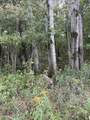  Coocpa- Lake Miramachi - Photo 11