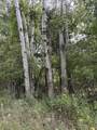  Coocpa- Lake Miramachi - Photo 12