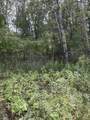  Coocpa- Lake Miramachi - Photo 13