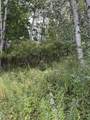  Coocpa- Lake Miramachi - Photo 15