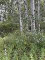  Coocpa- Lake Miramachi - Photo 16