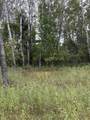  Coocpa- Lake Miramachi - Photo 2