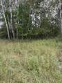  Coocpa- Lake Miramachi - Photo 3