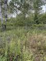  Coocpa- Lake Miramachi - Photo 5