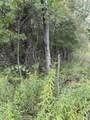  Coocpa- Lake Miramachi - Photo 6