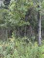  Coocpa- Lake Miramachi - Photo 7