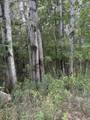  Coocpa- Lake Miramachi - Photo 8