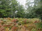  Shingle Mill Way - Photo 6