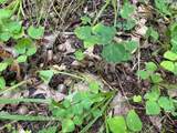  Flarity Road - Photo 11