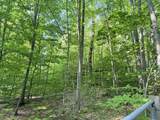VL 3 Mile Road - Photo 2
