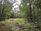 4540 Ross Drive - Photo 3