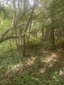 V/L Springhill Drive - Photo 10