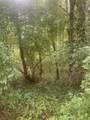 V/L Springhill Drive - Photo 11