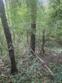 V/L Springhill Drive - Photo 12