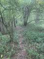 V/L Springhill Drive - Photo 8