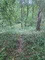 V/L Springhill Drive - Photo 9