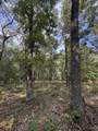0 Shady Grove Drive - Photo 4