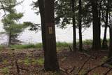 V/L Tranquil Wood Ln - Photo 2