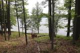 V/L Tranquil Wood Ln - Photo 7