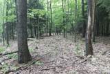 V/L Tranquil Wood Ln - Photo 9