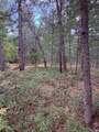 00 Shady Grove Drive - Photo 4
