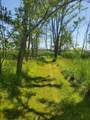Lot 3 Old Channel Trail - Photo 5