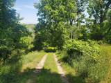 Lot 3 Old Channel Trail - Photo 7