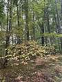 Lot 681 Elm Drive - Photo 2