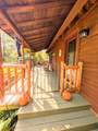117 Old Lantern Trail - Photo 9