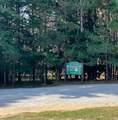  Opal Ridge - Photo 5