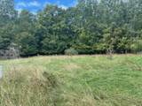  Opal Ridge - Photo 6
