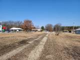 Lot A 10 1/2 Mile Road - Photo 13