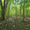0001 Mowatt Road - Photo 13