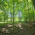 0001 Mowatt Road - Photo 14