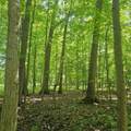 0001 Mowatt Road - Photo 21