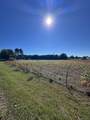 694 Pierce Road - Photo 5