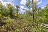 Parcel B Homestead Road - Photo 5