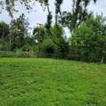 1687 Bolton Street - Photo 1