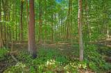 620 Warren Woods Road - Photo 11