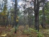 Parcel H Tatanka Trail - Photo 3