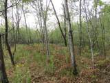  Vl 17 Mile Road - Photo 23