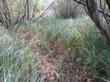  Vl 17 Mile Road - Photo 36