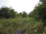  Vl 17 Mile Road - Photo 38