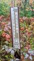 2256 Whitetail Drive - Photo 47