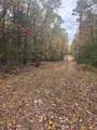  V/L Maple Road - Photo 4
