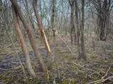  Crawford Road - Photo 43