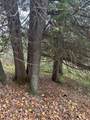 V/L 9 Mile Road - Photo 22