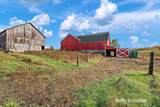 20017 7 Mile Road - Photo 59