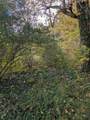 66991 Winding River Road - Photo 3